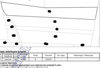 Teren extravilan pasune Ardeoani, ID: R2404603 - 3