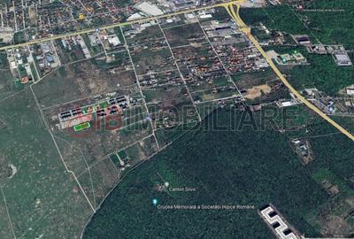 Teren intravilan de 3000 mp, în Băneasa - 3