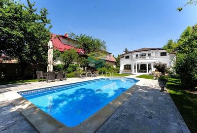 Iancu Nicolae, vila speciala cu 6 camere, 1621 mp teren, de vanzare - 14