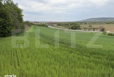 Teren de 12500 mp, în Bobota - 4