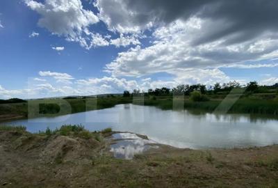 Teren de 10000 mp, în Șărmășag - 3