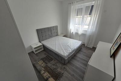 Prima inchiriere. Curte proprie. La asfalt. - 9