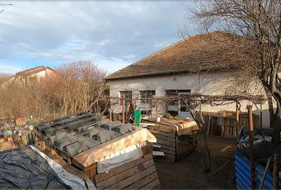 Teren Construcții intravilan de 1084 mp, în Dumbrăvița - 8