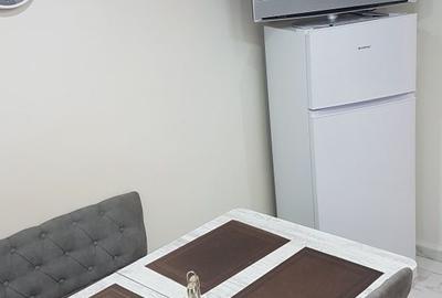 Apartament cu 2 camere semidecomandat în Găvana - 8
