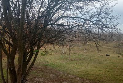 Teren intravilan Drajna 4062mp - 10