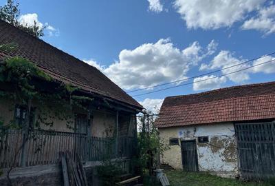 Casă cu 2 camere în Pătârș - 3