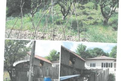 Casă individuală cu 3 camere cu Garaj în Șindrilari - 2