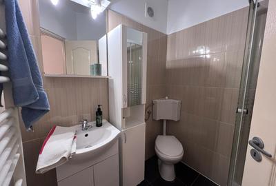 Apartament 2 camere,zona Gojdu - 9