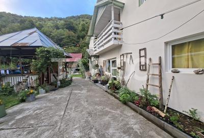 Spatiu de vanzare in Valea Macesului judel Valcea iesire la Lotru - 45