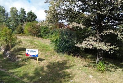 De vanzare - Teren 5.193 mp, pasune partial impadurita, Campulung - 1