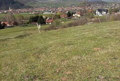 Teren de 1600 mp, în Central - 1