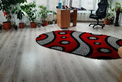 Casa cu mansarda de vanzare in Loc. Dorohoi Jud. Botosani - 4