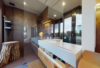Penthouse cu 2 camere decomandat, mobilat în Floreasca - 17