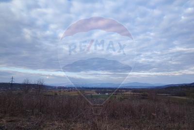 Teren agricol extravilan de 5240 mp, în Berchezoaia - 3