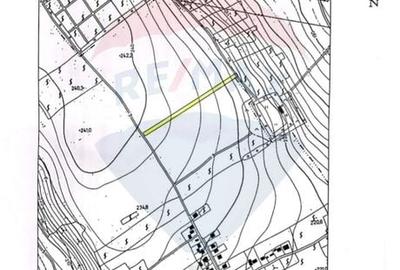 Teren in Magura/Bacau de vanzare - 5