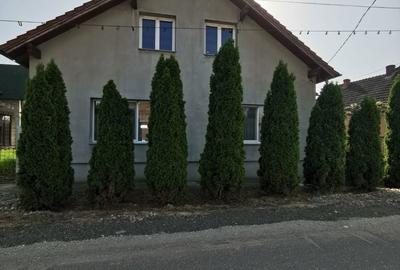Casă cu 4 camere în Halmeu - 2