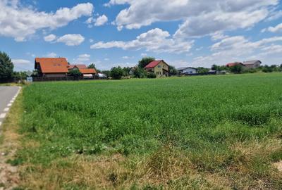 Teren în Central - 4