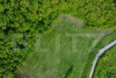 Teren superb, in mijlocul naturii, 18.360 mp, la Carji?i - 6
