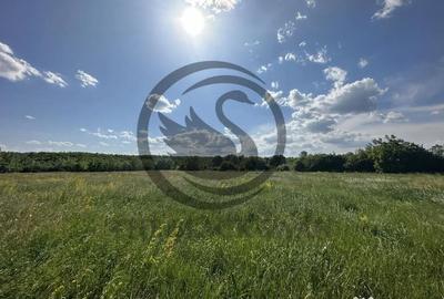 Teren de 11000 mp, în Ghirdoveni - 8