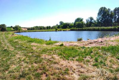 Teren 18.247 mp cu balta de pescuit Misca, Comuna Chi... - 8