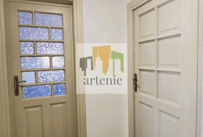 Pache Protopopescu - Plantelor apartament in vila - 15