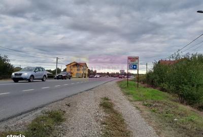 Spațiu comercial, în Manasia - 6