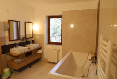 Proprietate Snagov de vanzare - 8