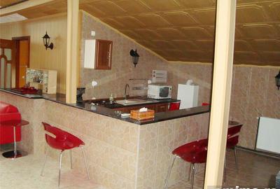 Casă cu 11 camere cu Teren 633 Mp în Clinceni - 14