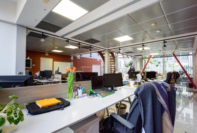 Cladire birouri - 300 mp - Arhitectura superba - 6