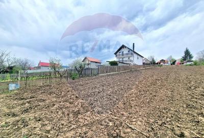 Teren Construcții intravilan de 826 mp, în Luizi-Călugăra - 3