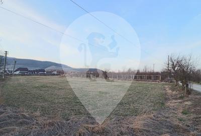 Teren Construcții intravilan de 5700 mp, în Nord