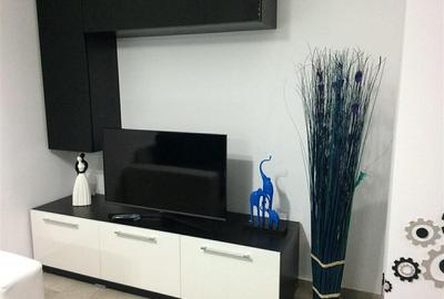 Apartament cu 3 camere decomandat, mobilat în Lunca Cetățuii - 8