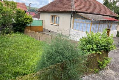 Vand casa Bocsa - Judet Caras Severin Vand casa Bocsa - Judet Caras Severin - 6