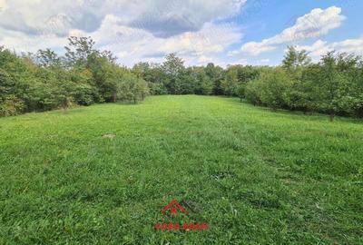 Teren intravilan in Poiana Campina--3287mp--10e - 7