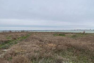 Teren investitie  Palazu Mare - 6