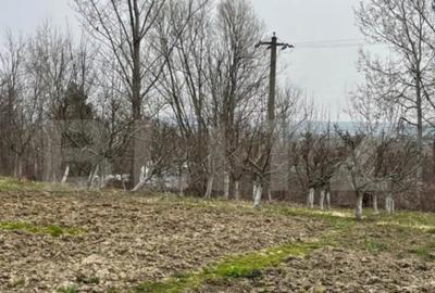 Casă cu 4 camere cu Teren 4600 Mp în Central - 8