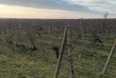 Spațiu comercial, în Slobozia Bradului - 6