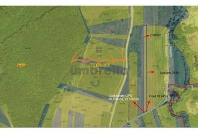 Teren Construcții extravilan de 2500 mp, în Baciu - 2