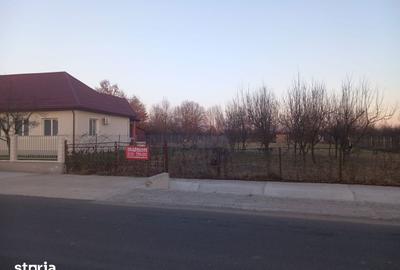 Teren de 1800 mp, în Tăuții-Măgherăuș - 9