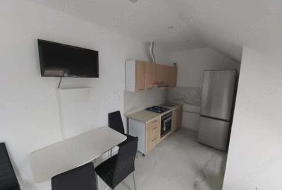 Apartament cu o camera zona Aradului - 3