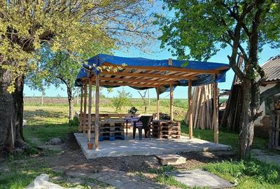 Casă cu 6 camere cu Teren 1600 Mp în Siliștea - 4
