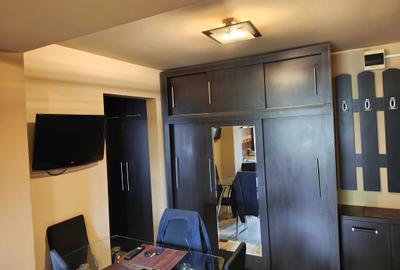 Apartament cu 2 camere decomandat în George Enescu - 4