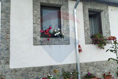 Casă individuală cu 4 camere cu Teren 3414 Mp în Comarna - 4