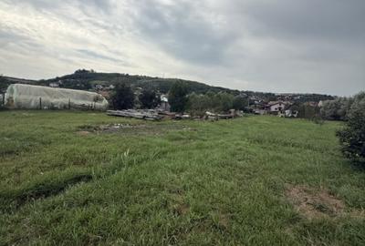 Teren Construcții intravilan de 2900 mp, în Dezmir - 2