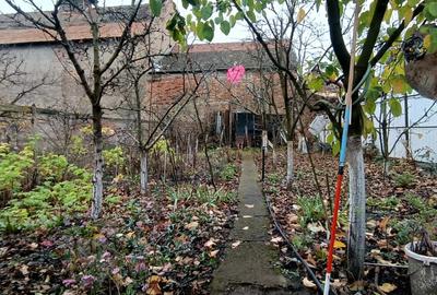 Casa cu gradina langa Cetatea Harman - 3