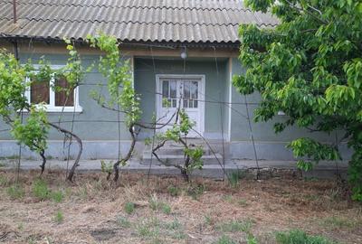 Casă cu 4 camere în Ciobănița - 1