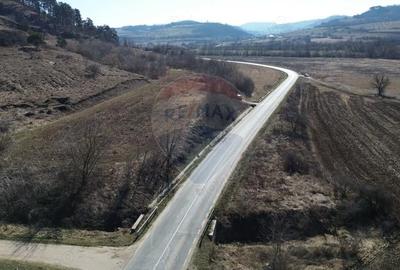 Teren de 2000 mp, în Moșna - 9