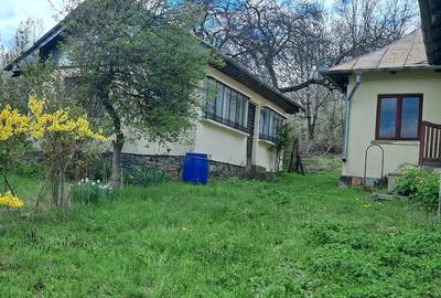 Casă cu Teren 2671 Mp în Plai - 10