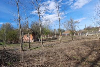 Teren 2900 m2, com. Salcuta, Jud. Dolj - 12