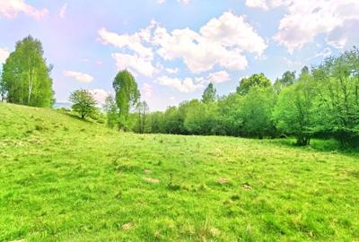 25.000 mp TEREN IDEAL AFACERE TURISM – AMENAJARE LAC DE PESCUIT, CIUCEA - CLUJ - 15